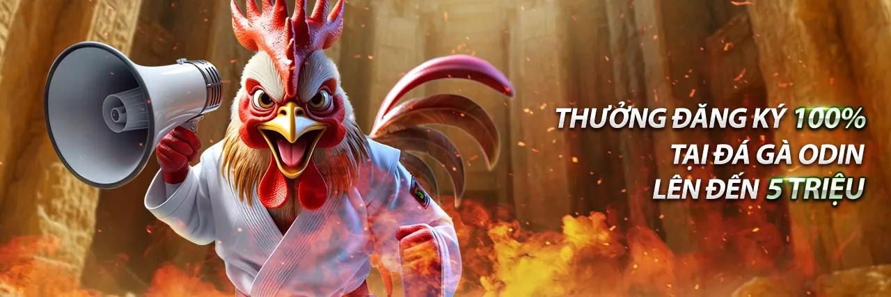Hình ảnh đá gà trực tuyến sôi động tại Win2026, sân chơi cá cược đánh bài trực tuyến hàng đầu